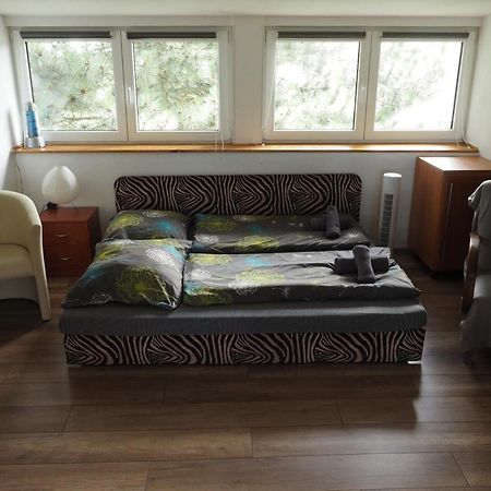 Apartman U Borovice Bílá Třemešná Exteriér fotografie